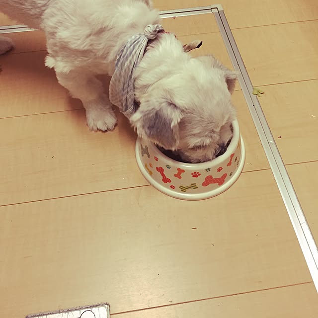 emiさんの実例写真