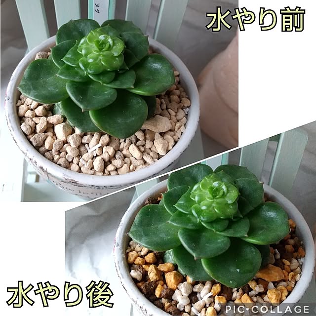 meiさんの実例写真