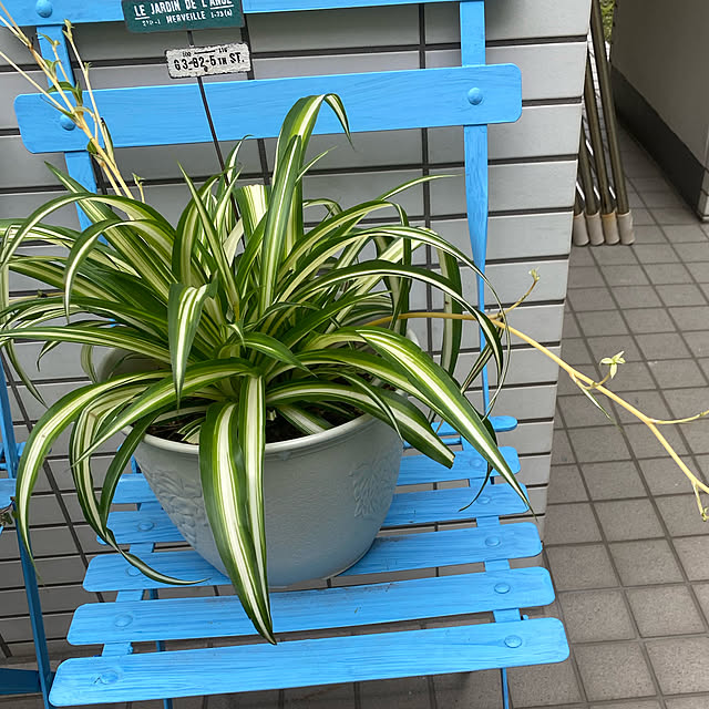 YuuKoさんの実例写真