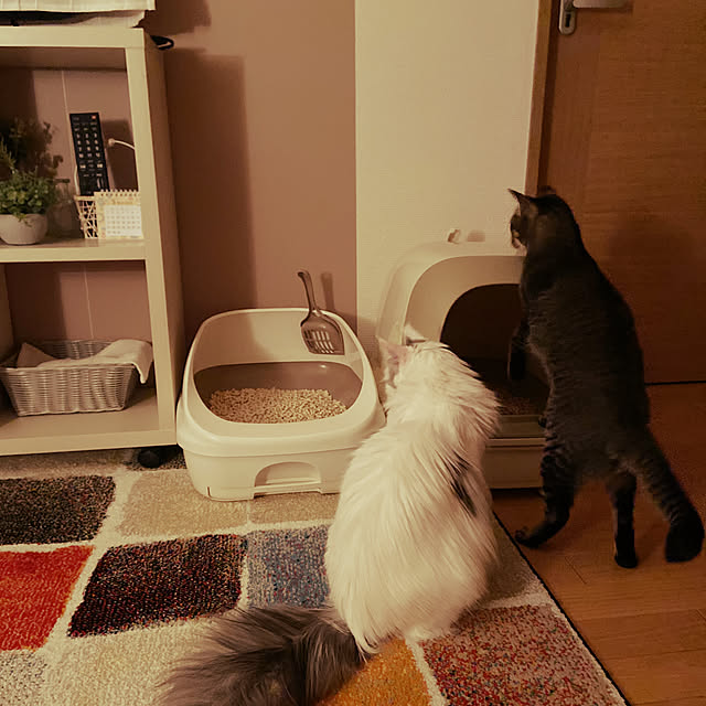 miwaさんの実例写真