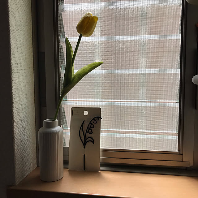 Karlyさんの実例写真