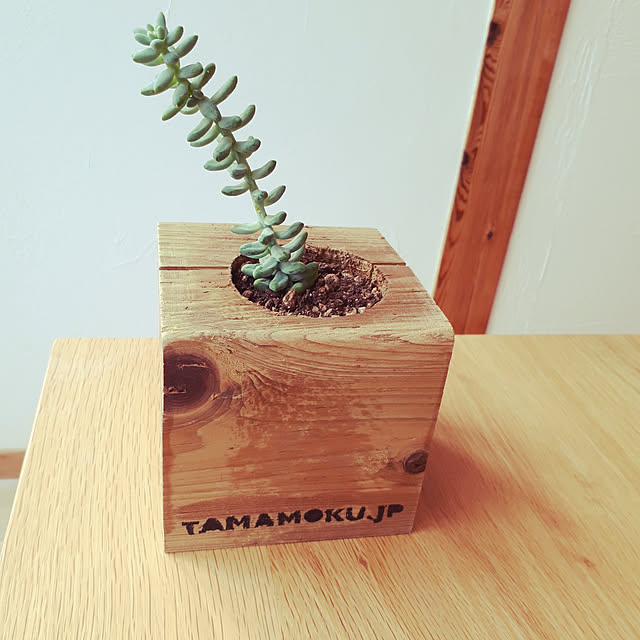 tamaimokuzaiさんの実例写真