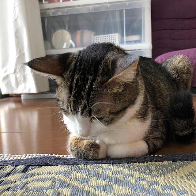 実例写真