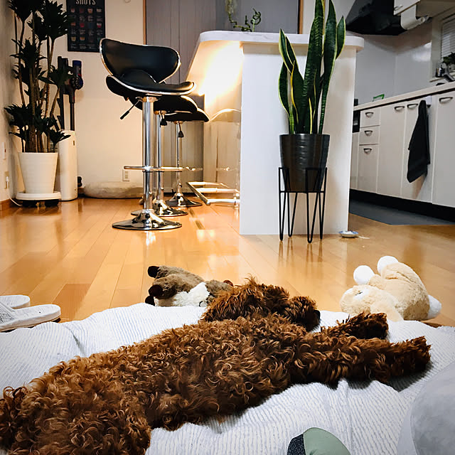 kazuさんの実例写真