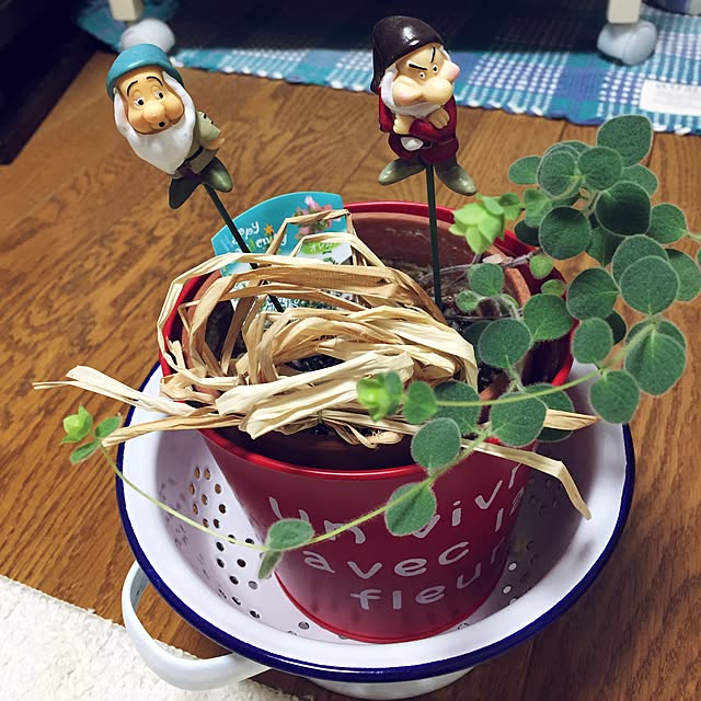 takakoさんの実例写真