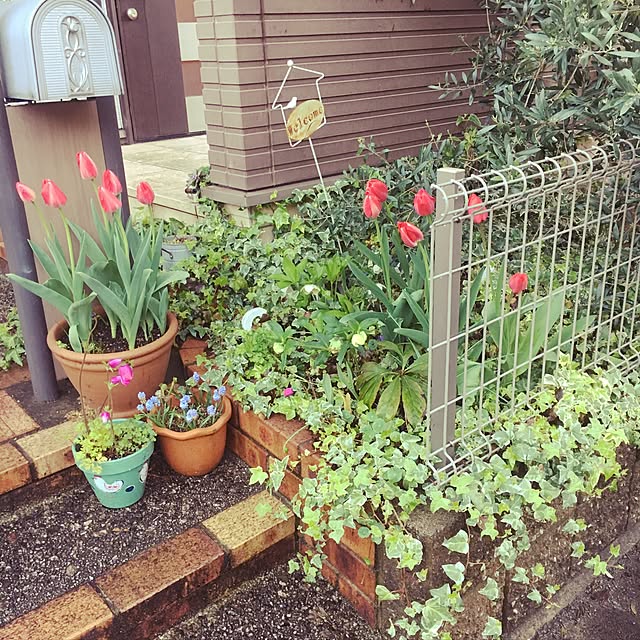 akubiiroさんの実例写真