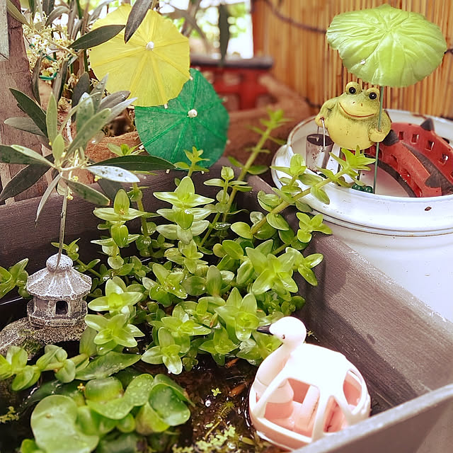 mikanさんの実例写真