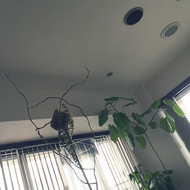 HKSさんの実例写真