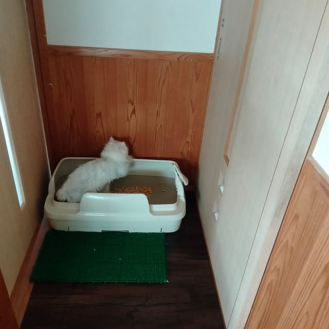 makaronさんの部屋