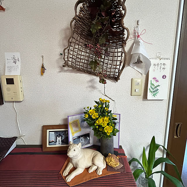 ritsukoさんの部屋