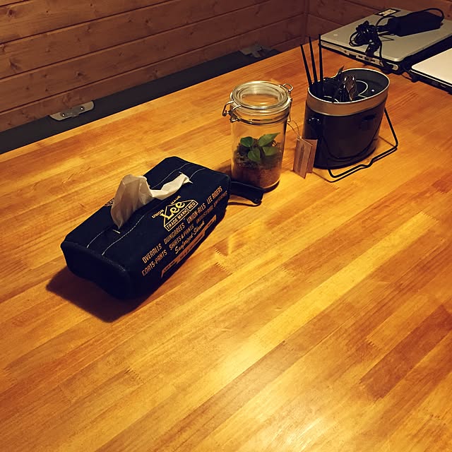 机/観葉植物/BESSの家/ワンダーデバイスのインテリア実例 - 2016-06-11 01:04:55