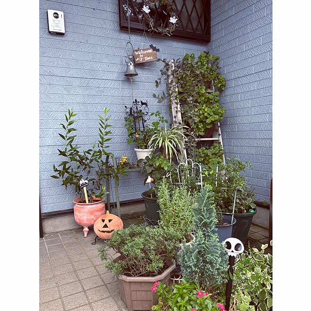 CoCo0617さんの実例写真