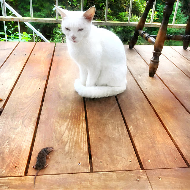 weさんの実例写真