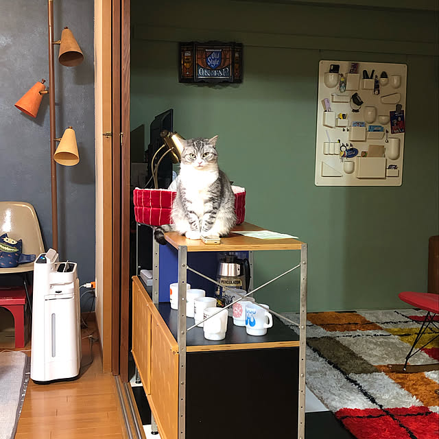 Shojiさんの実例写真