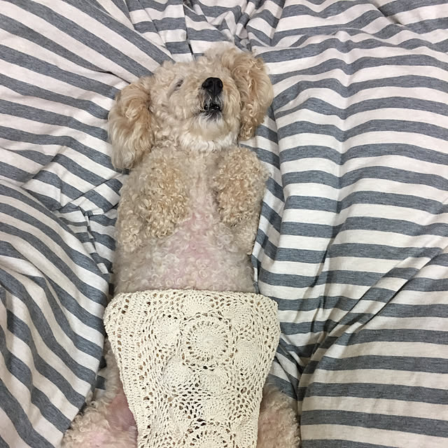 mocomocoyuuさんの実例写真