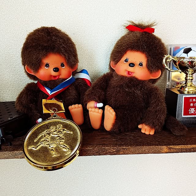 umeboshicyanさんの実例写真