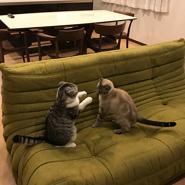 Dahliaさんの実例写真