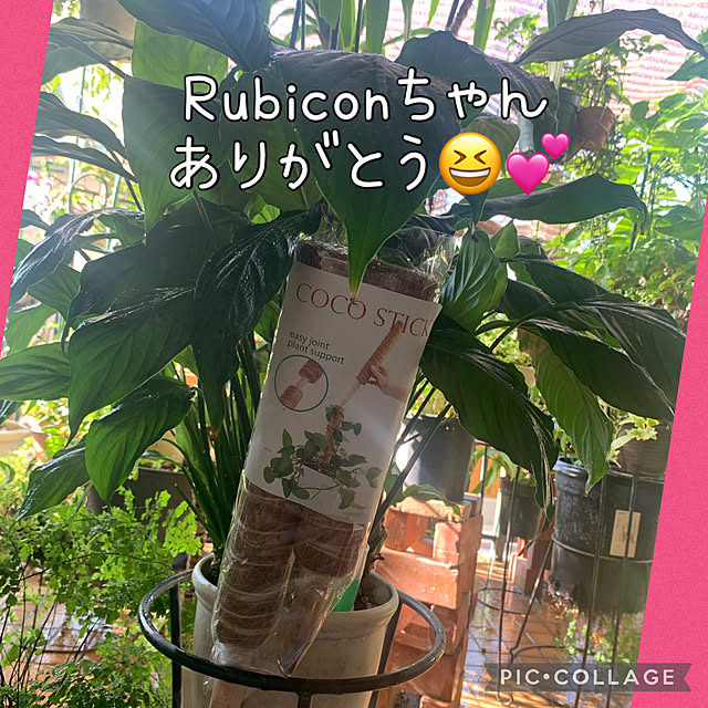 Aqettyさんの実例写真
