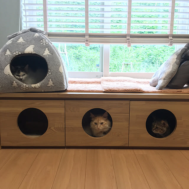 nyancohomeさんの実例写真
