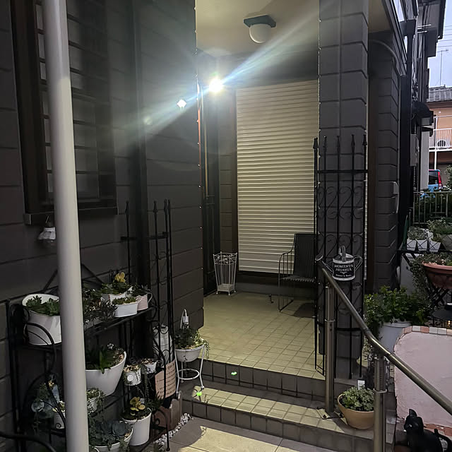 momocchiさんの実例写真