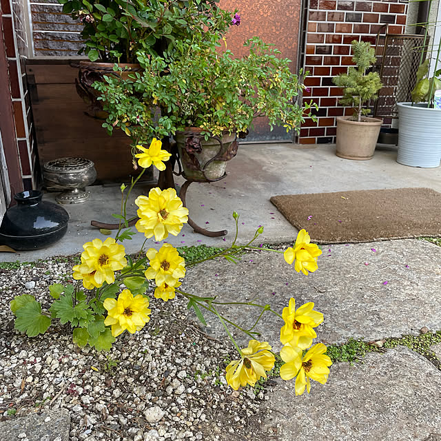 shin0719さんの部屋