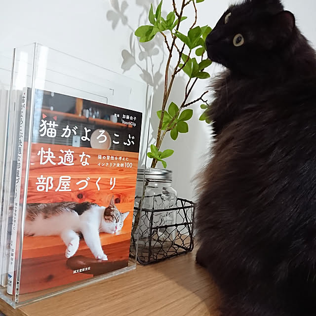 kumiさんの実例写真