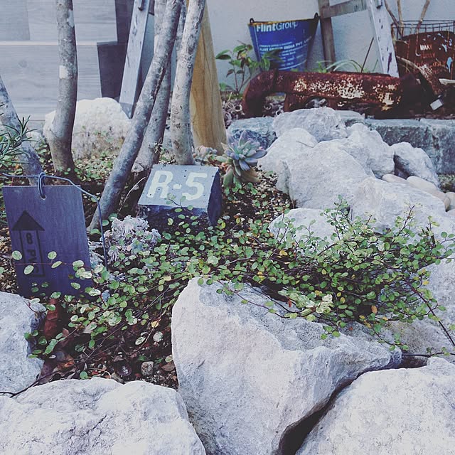 oldwoodさんの実例写真