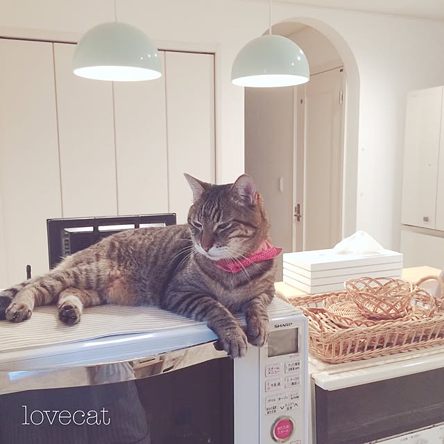 lovecatさんの実例写真