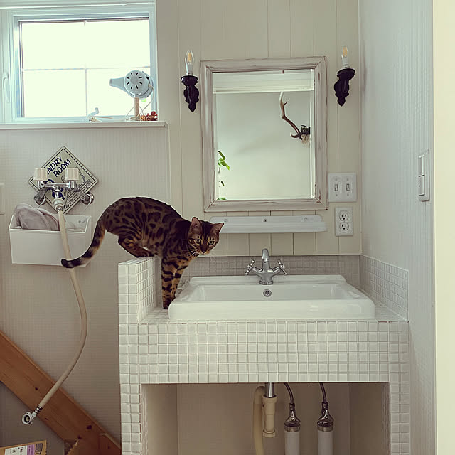 jamさんの実例写真