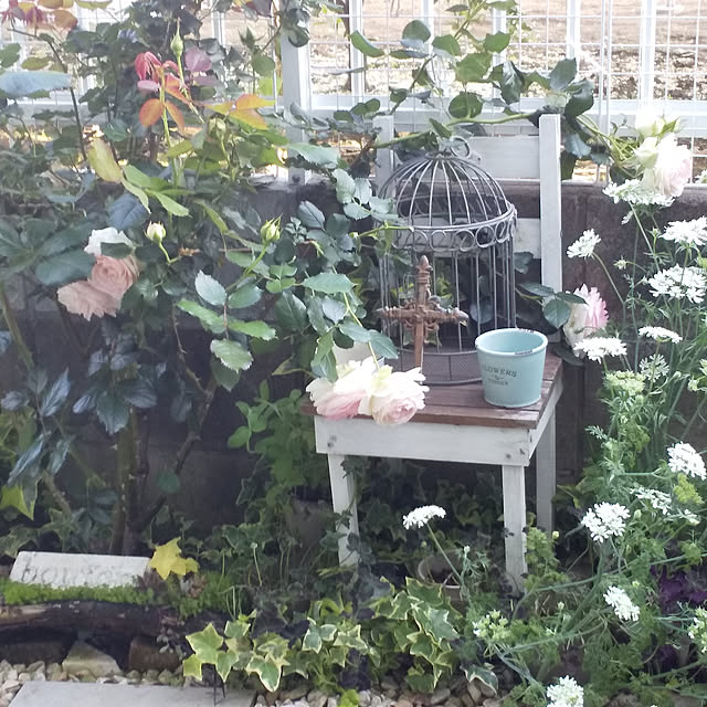 kintoto07さんの実例写真