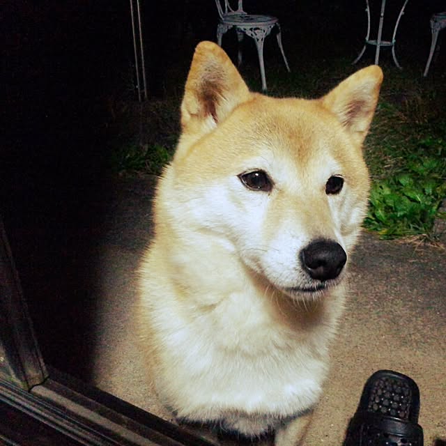 YUKKIさんの実例写真