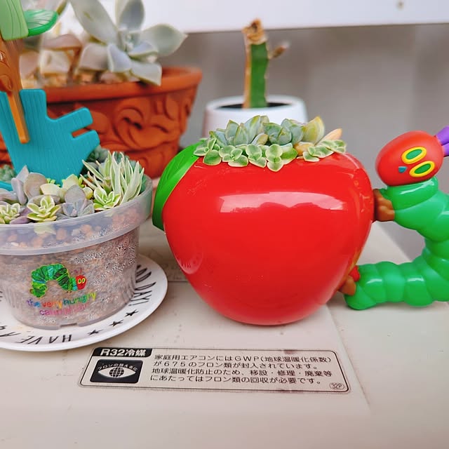 tamiさんの実例写真