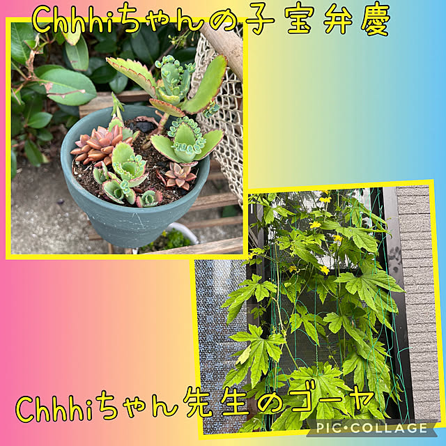 jijiさんの部屋