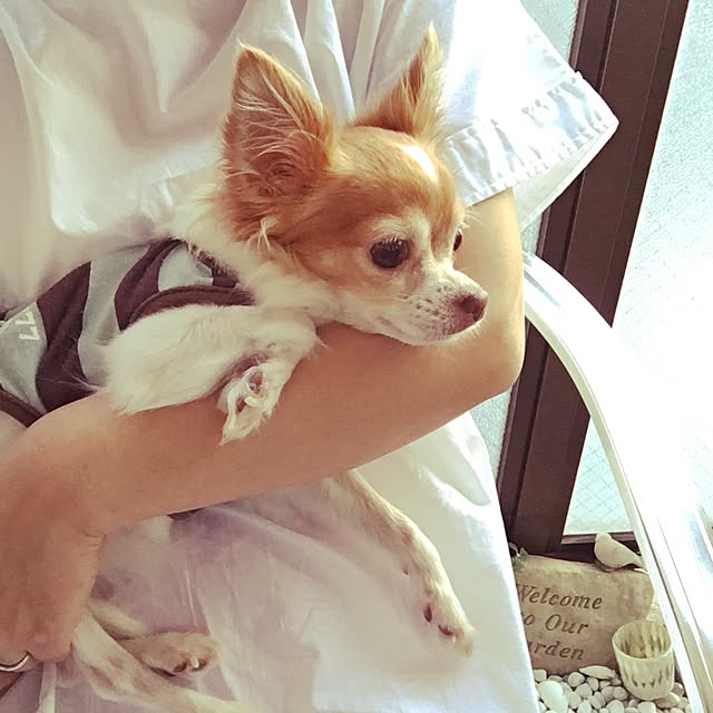 naomi426さんの実例写真