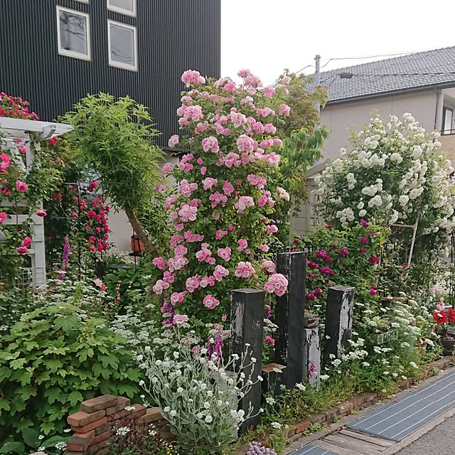 tomotomoさんの実例写真