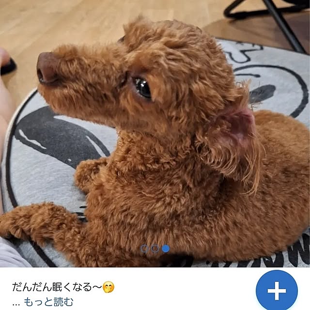 Blancheさんの部屋