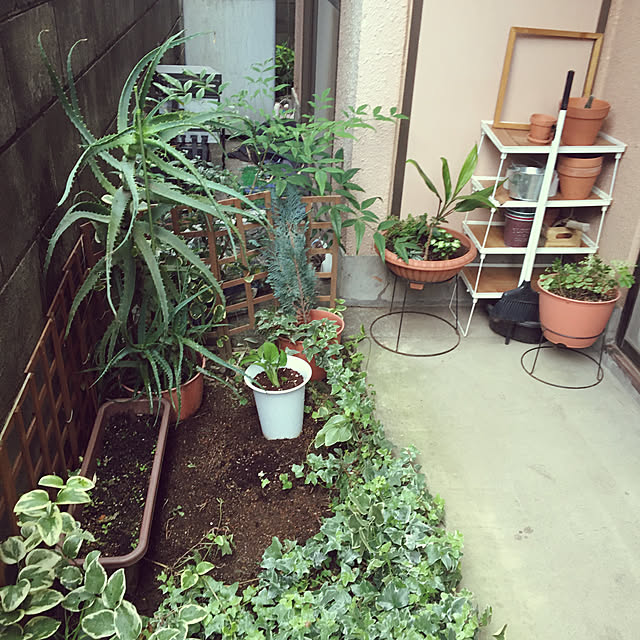 yomiyomiさんの実例写真
