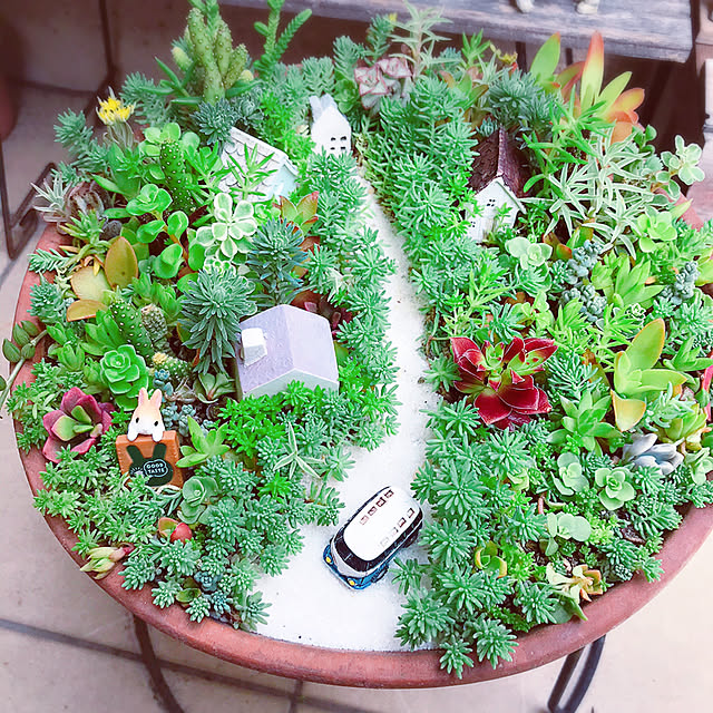 portulacaさんの実例写真