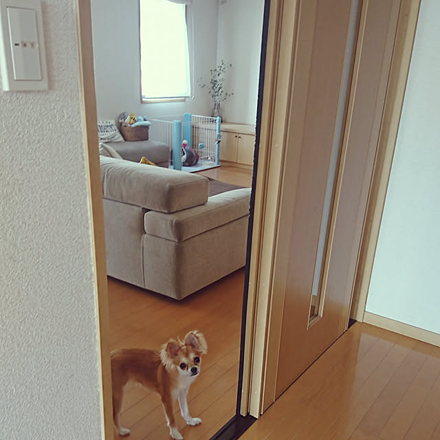 nattimomoさんの実例写真