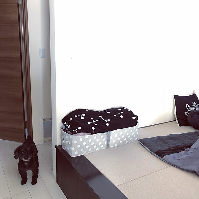 Mamiyさんの実例写真