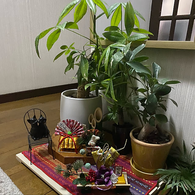 観葉植物/玄関/入り口のインテリア実例 - 2022-01-04 20:29:43