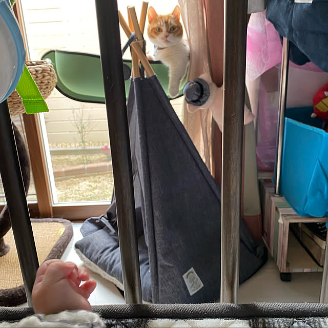 KotarouKunさんの実例写真