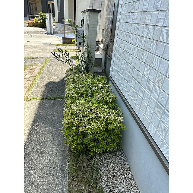 nono.0129さんの部屋