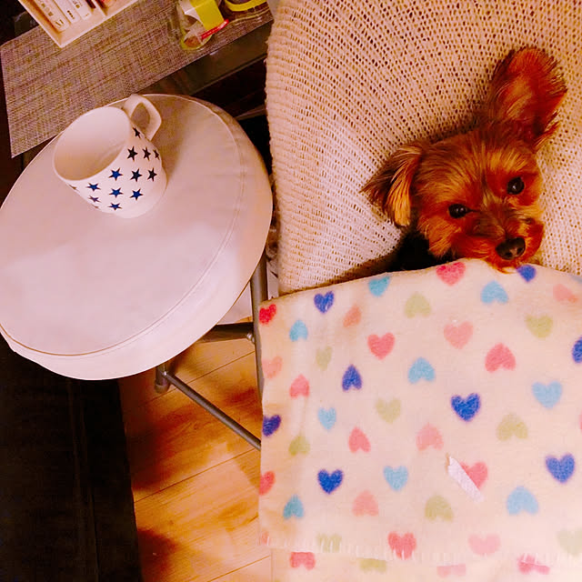 keikomokonさんの実例写真