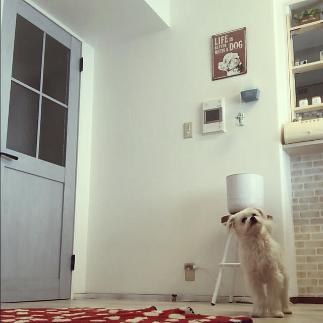 akoさんの実例写真