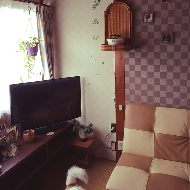 実例写真