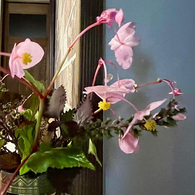cotaさんの部屋