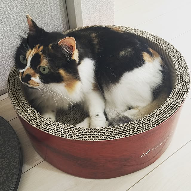 tawashimarukoさんの実例写真