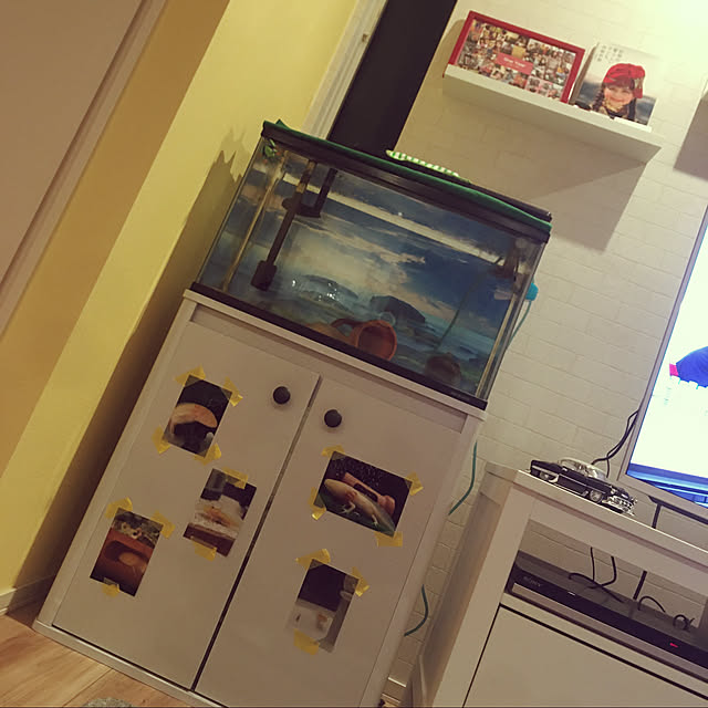 saiさんの実例写真