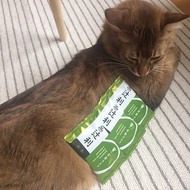 Yumiさんの実例写真